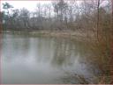 Etang de Piquedur