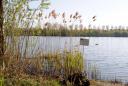Etang de la Grande Ile