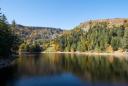 Lac du Forlet