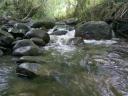 Le Badé (Bad ou Badet)