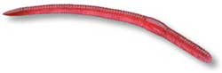 Storm, Rapala VMC Corp Rattle Finesse Worm