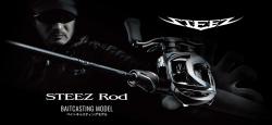 Daiwa 21 Steez