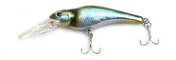 Ever Green Spin Move Shad