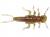 FishUp Stonefly